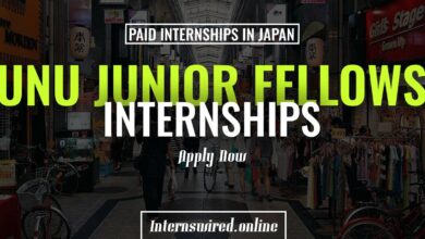 UNU Junior Fellows Internship